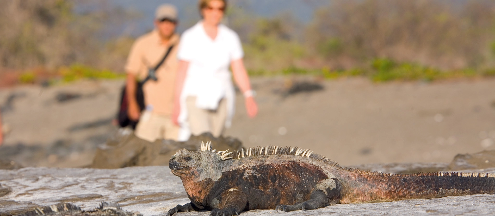 banner_1900x831_ecuador_galapagos