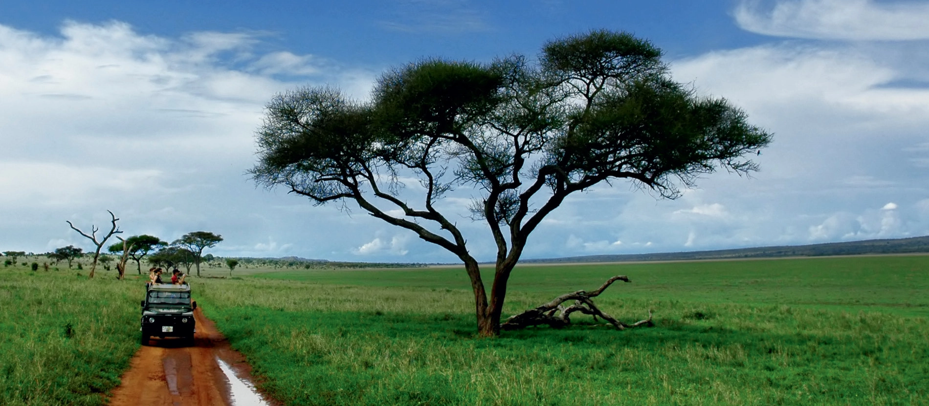 banner_1900x831_tanzania