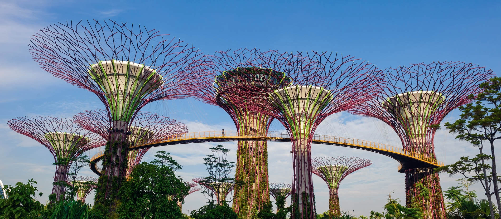 banner_1900x831_singapore_supertrees