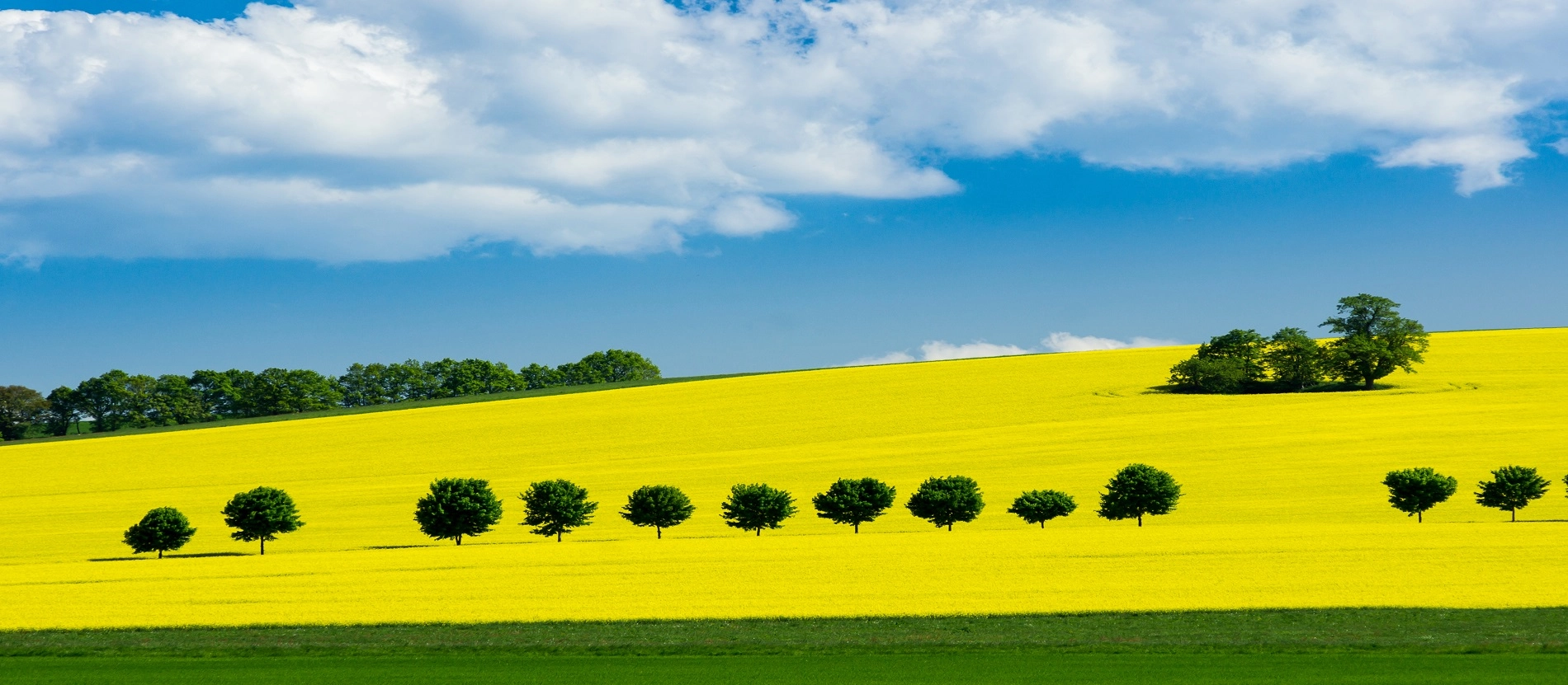 Österlen_banner