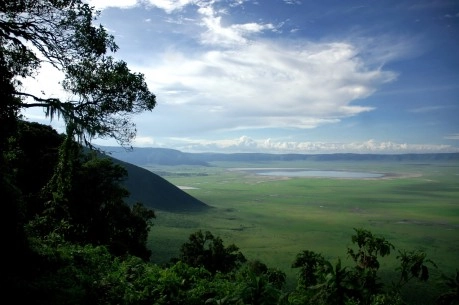 Ngorongoro