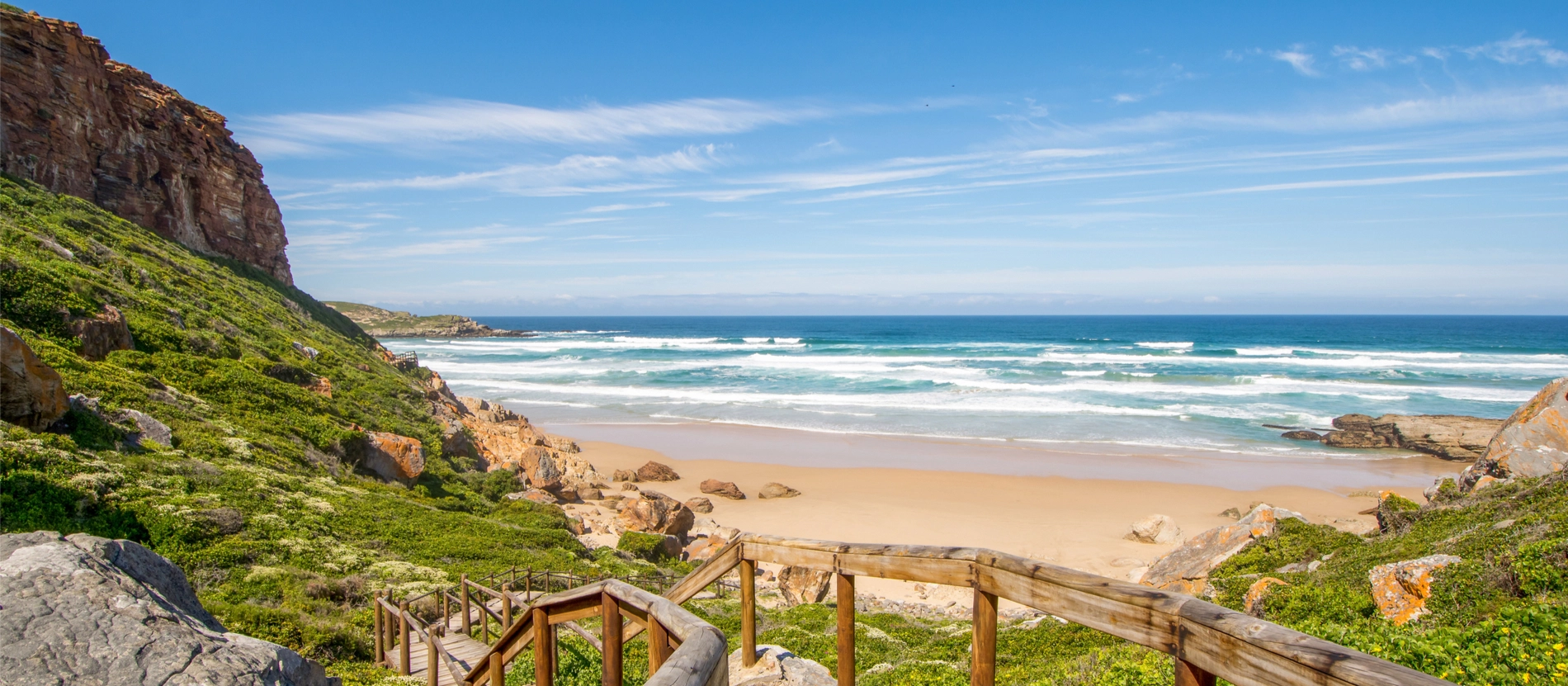Vandring och safari _Banner_shutterstock_508332541