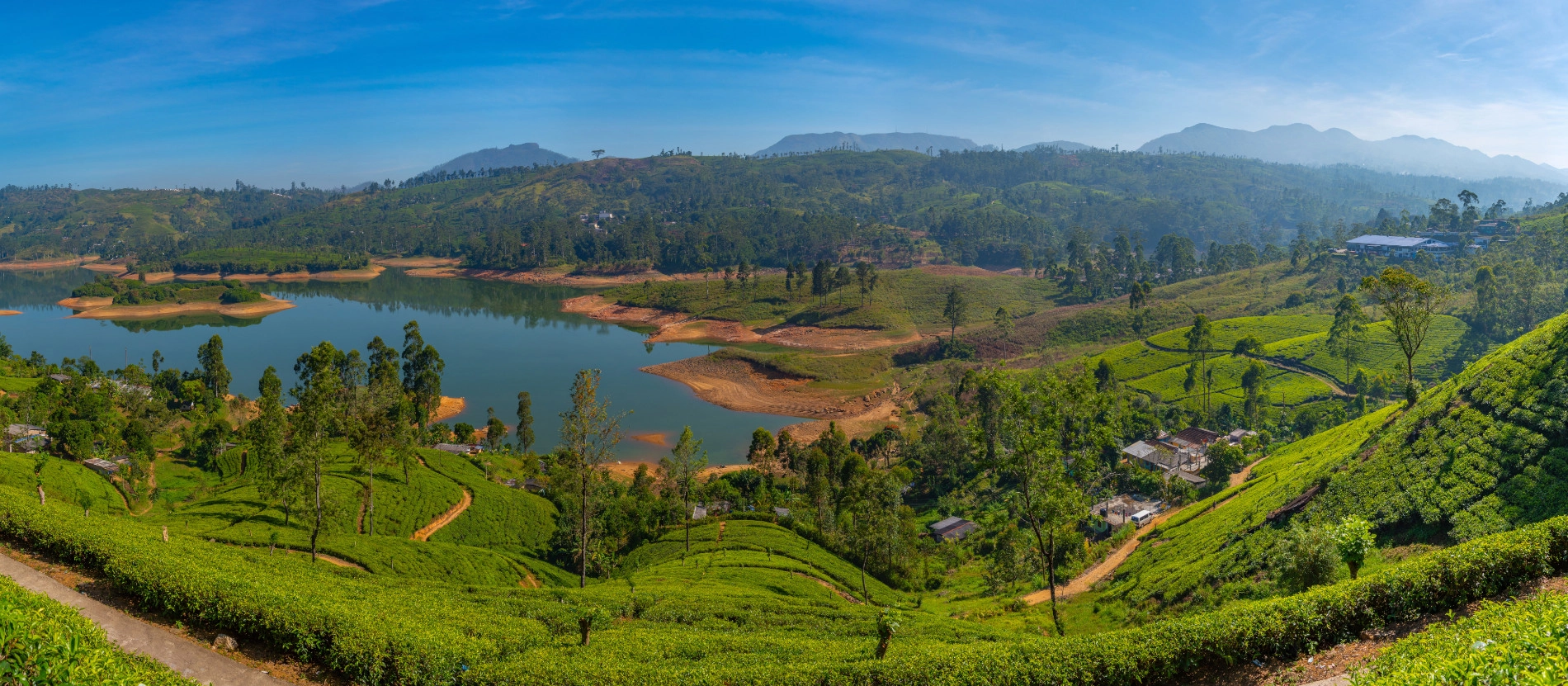 Sri lanka_Camellia Hills_Castlereigh reservoir_1900x831_AdobeStock_586186806