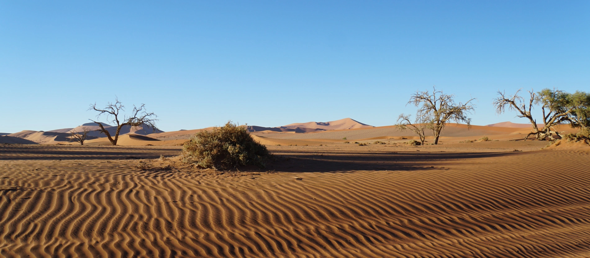 Namibia_Sossusvlei_landskap_Jessica_1900x831