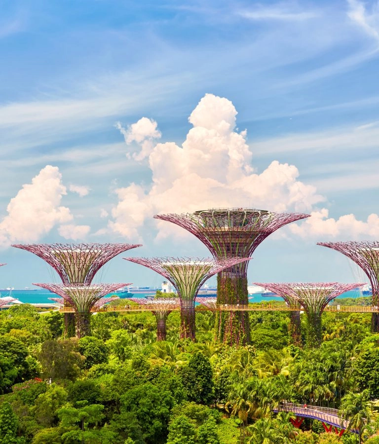 Singapore_grupp_AdobeStock_433226752 (2)