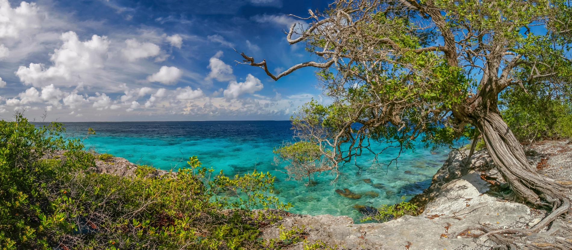 Banner_Bonaire_AdobeStock_283508877
