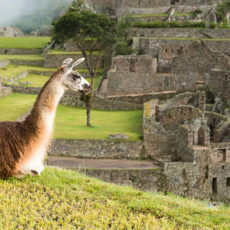 Peru_Machu Picchu_shutterstock_179256347
