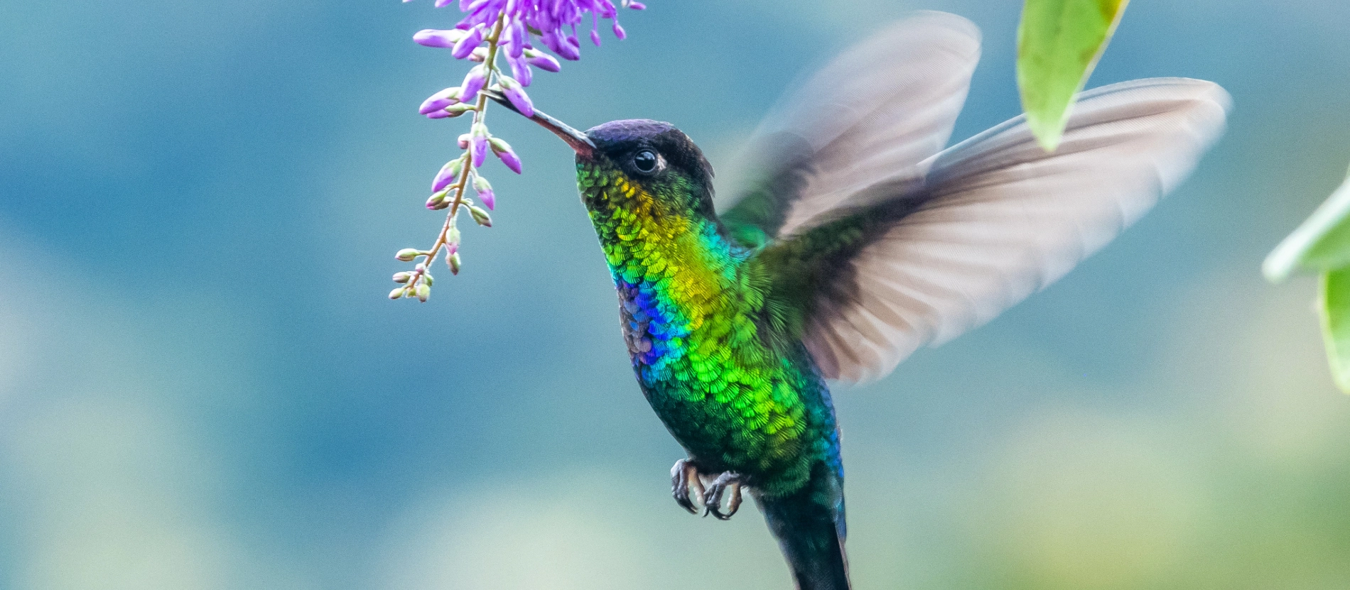 AdobeStock_322605882