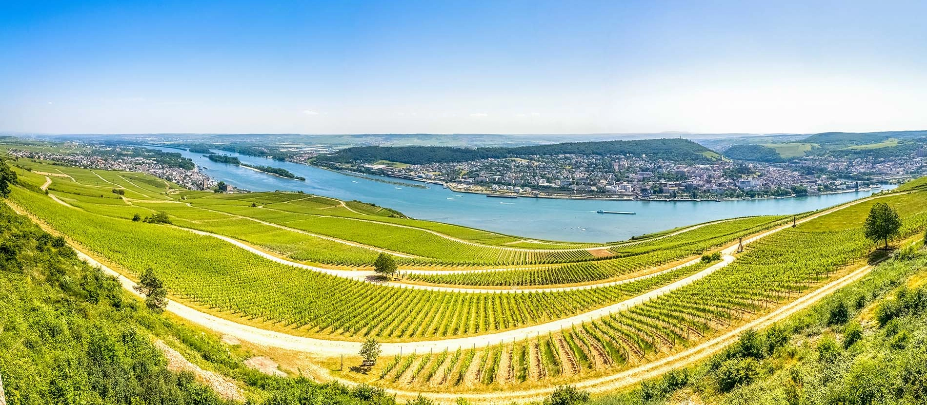 Tyskland_Riesling vid Rüdesheim_banner_1900x831_AdobeStock_88210334