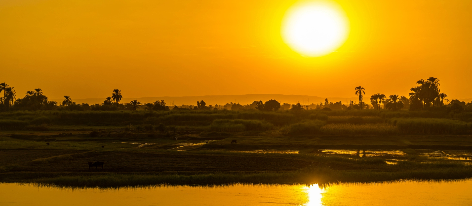 banner_Egypten_nilen_solnedgång_AdobeStock_387721277