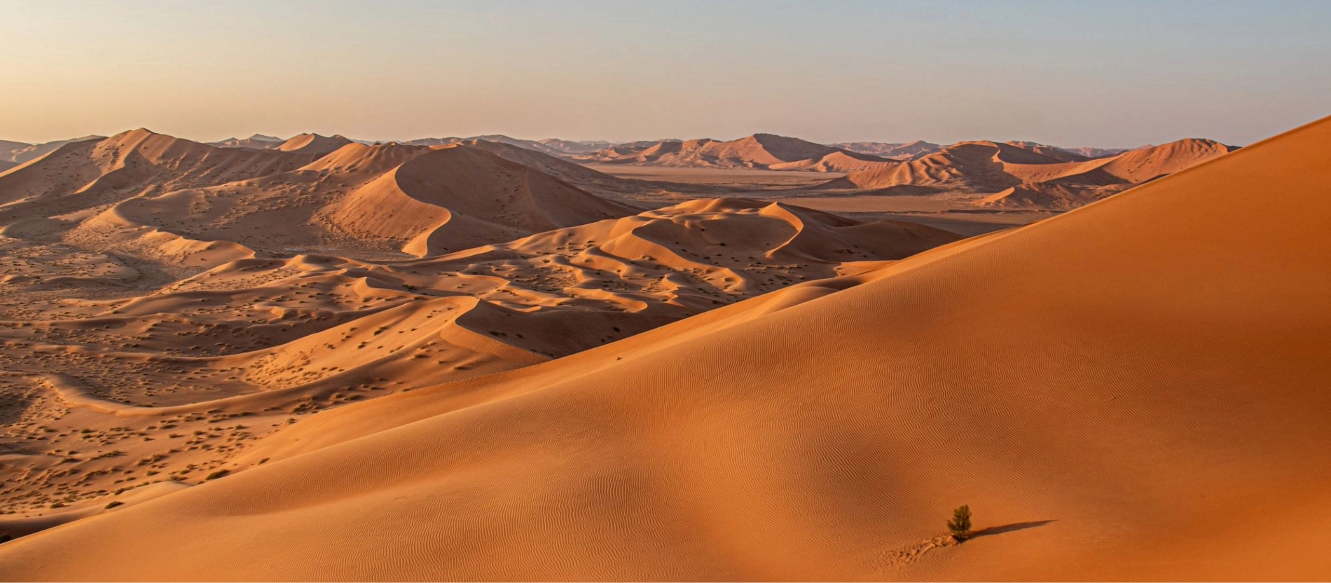 Oman_Djofar_sanddyner_rub_al_khali_AdobeStock_332416144