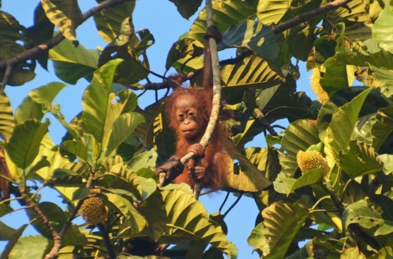 Skärmbild 2025-12-01 140243