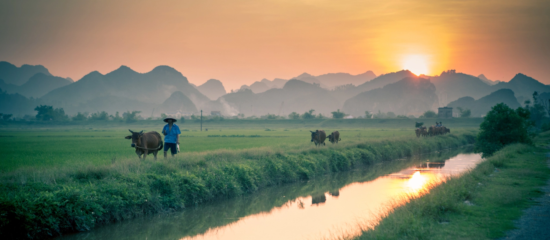 Banner_Vietnam_AdobeStock_153097076 (1)