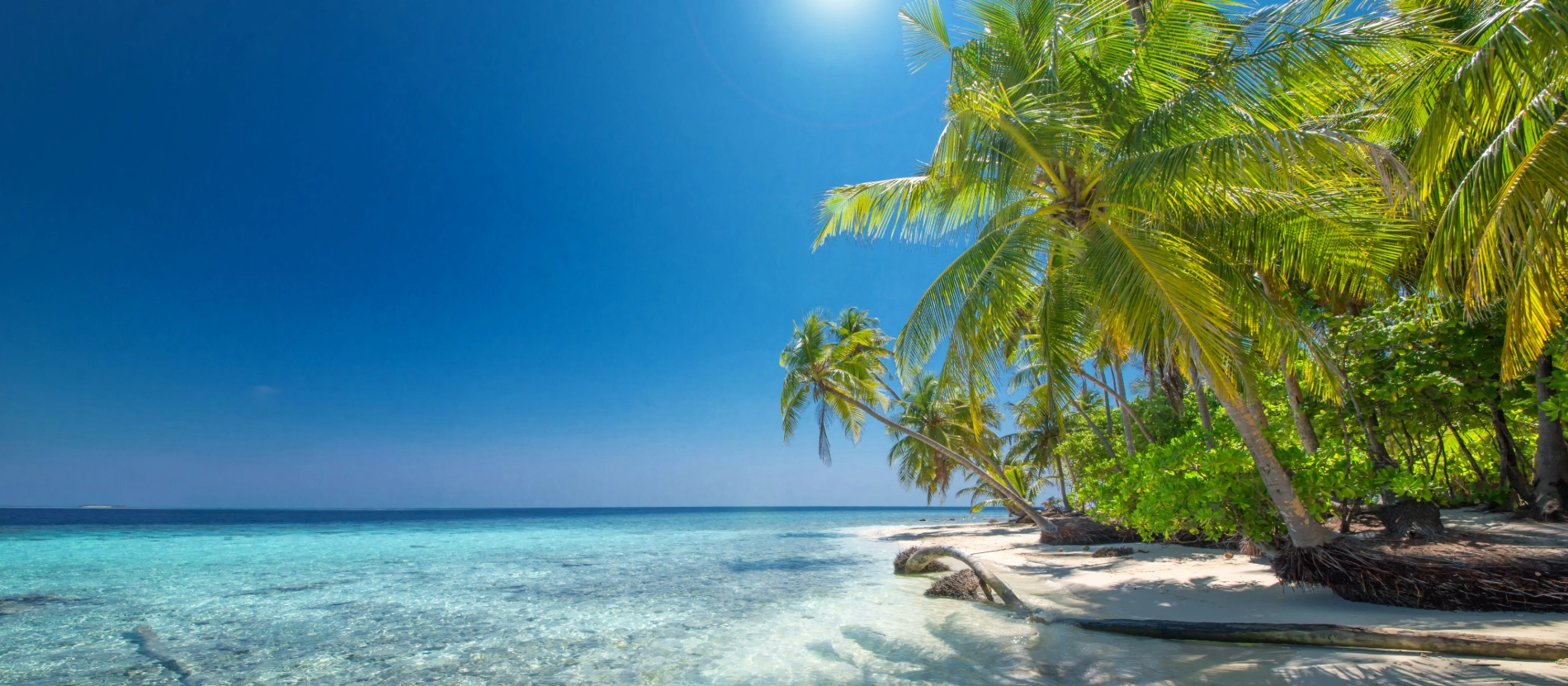 Banner_Karibien_AdobeStock_126748913