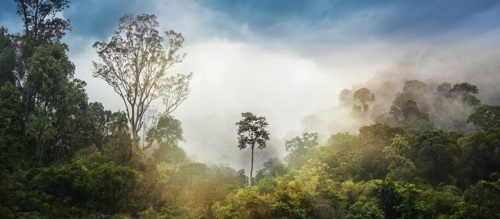 Malaysia_TamanNegaradimma_AdobeStock_451857469