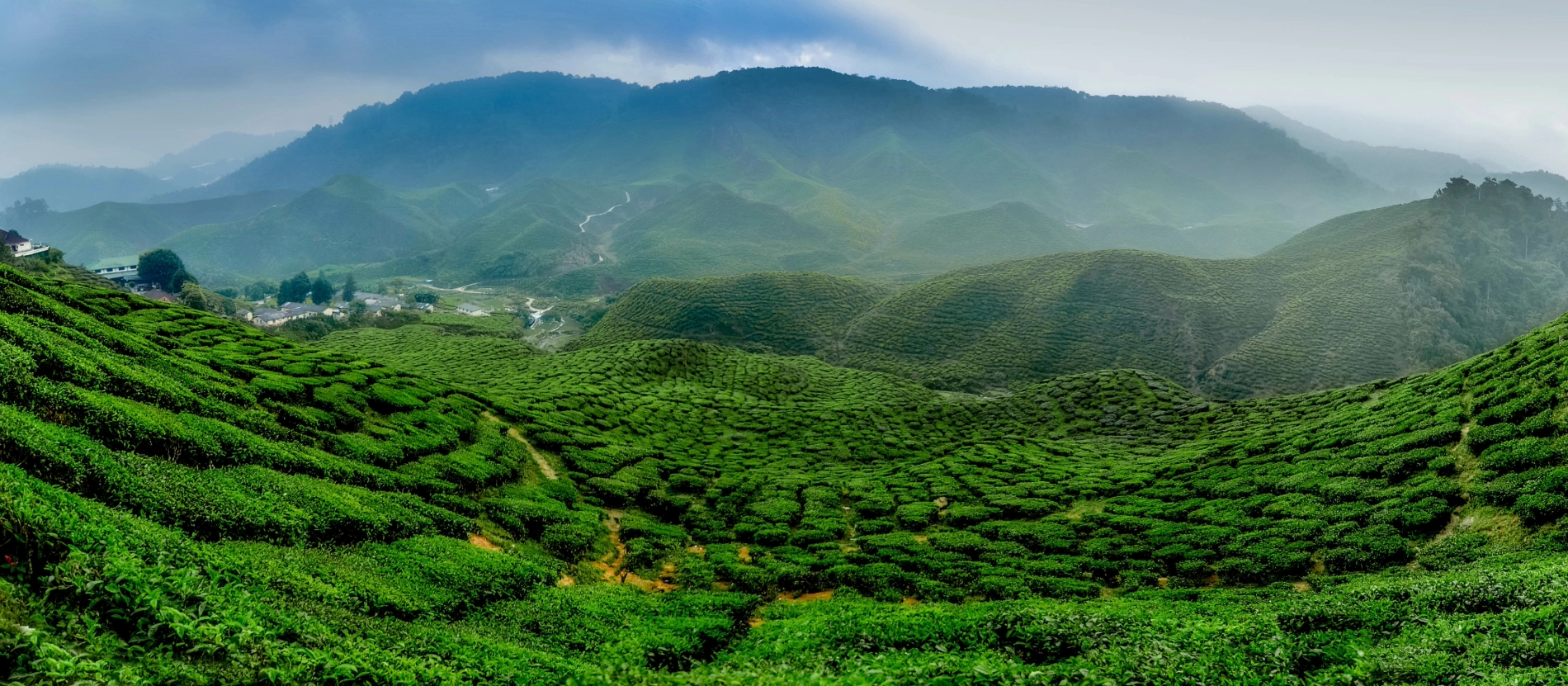 AdobeStock_105480990