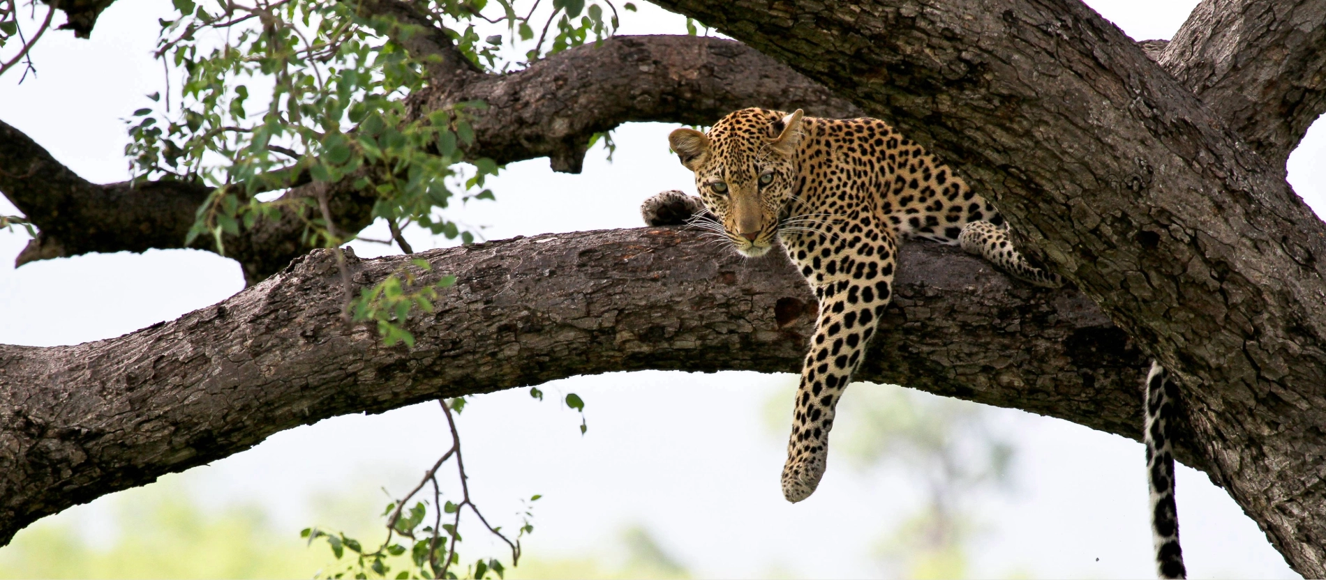 AdobeStock_133088661