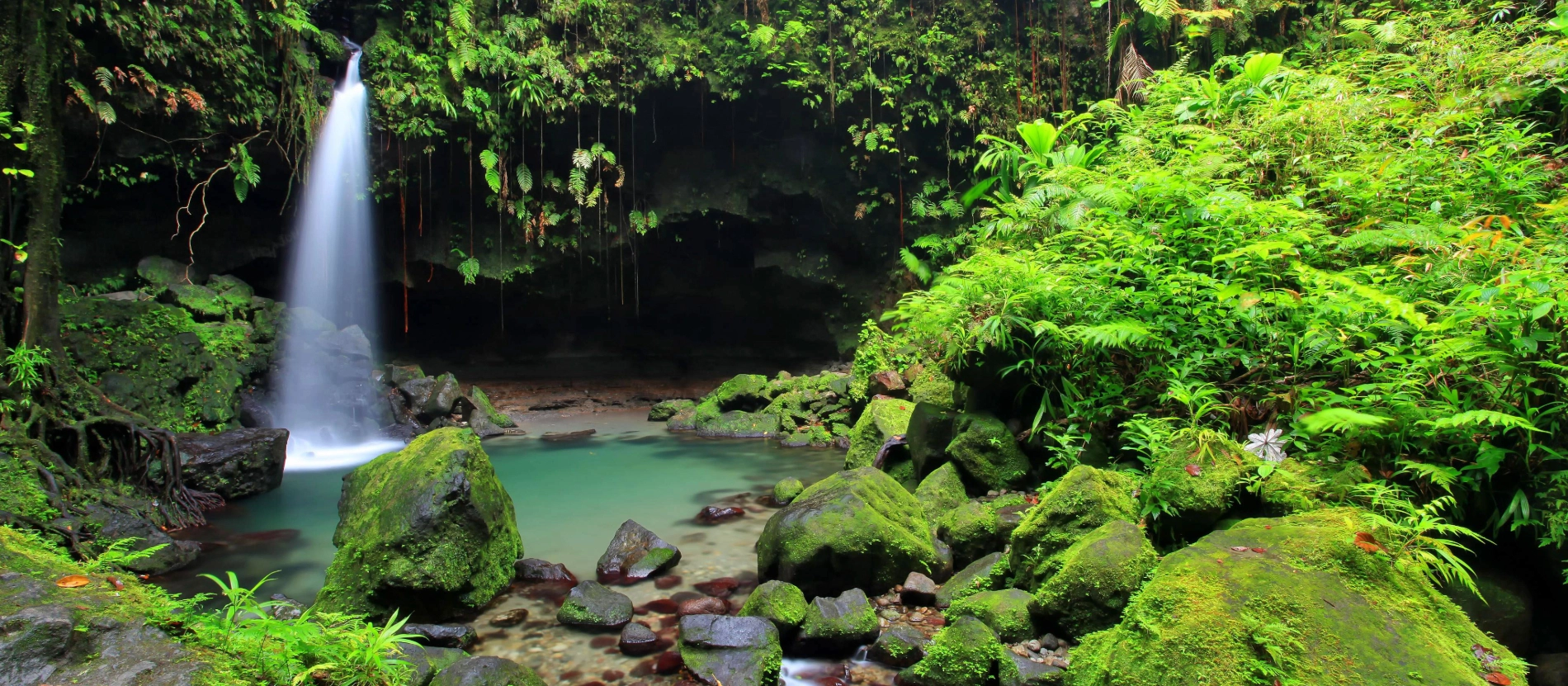 Banner-Dominica-EmeraldPool-AdobeStock_34841122