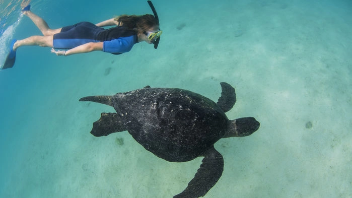 Snorkling