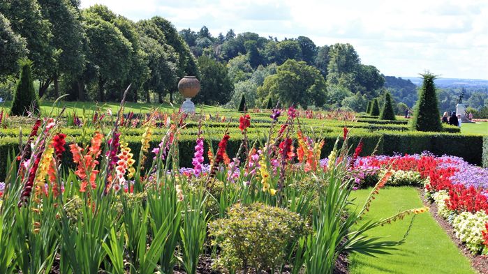 På Cliveden finns formella trädgårdsrum, en japansk vattenträdgård och en praktfull rosenträdgård.