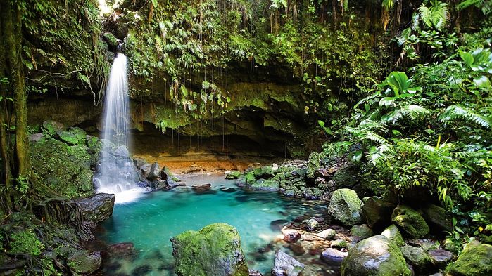 Dominica är ett tropiskt paradis där naturen är mer i fokus än på andra öar i Karibien. Dominica har stränder, men är framför allt känd för att vara lummig och grön. I djungeln inåt land finns fantastiska vattenfall och varma källor.