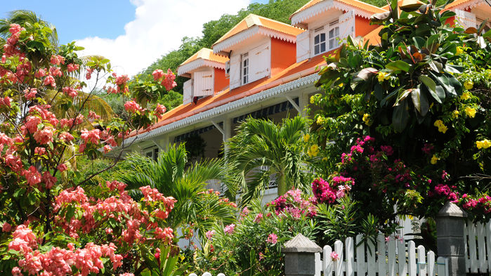 Terre-de-Haut är en liten hamn med fina, färgglada, typiskt karibiska hus. Det är trevligt att gå en sväng på shoppinggatan och upp i kvarteren längs gränderna.