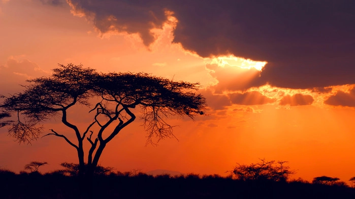Solnedgång över Samburu.