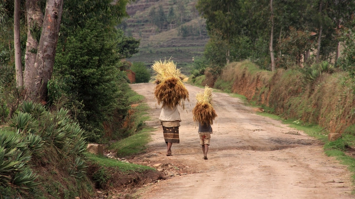 Resan går genom Madagskars landsbygd.