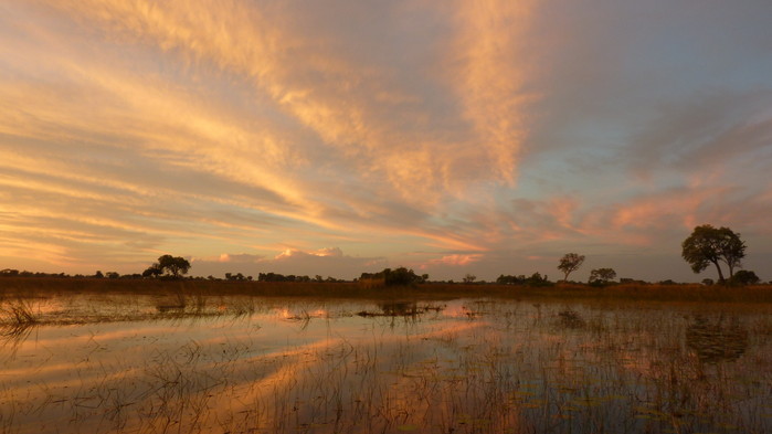 Solnedgång i Okavangodeltat