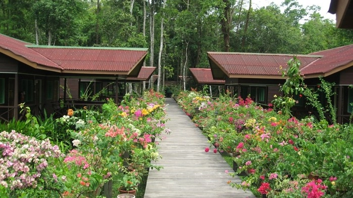 Abai Jungle Lodge