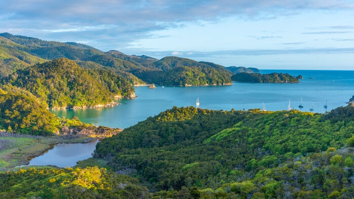 Abel Tasman