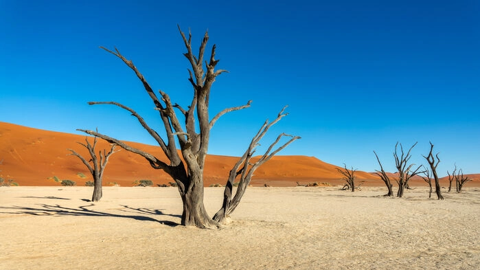 Deadvlei
