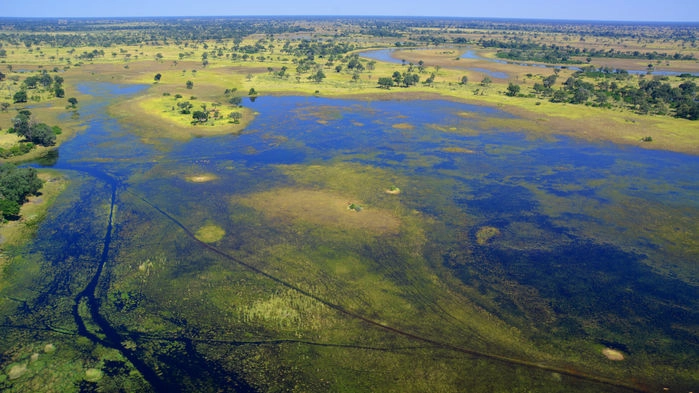 Okavango från kluften