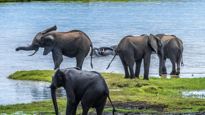 Okavango