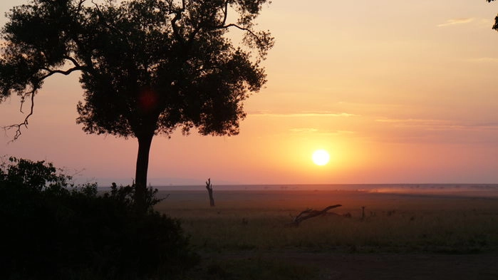 Soluppgång över Masai Mara