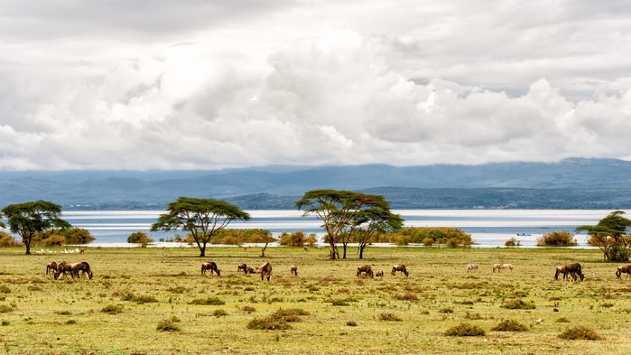 Naivashasjön i Kenya