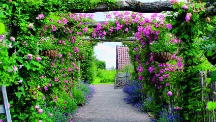 De mjukt böljande kullarna, sädesfälten, de charmiga små byarna och det speciella ljuset gör Österlen så unikt att det jämförs med Provence.