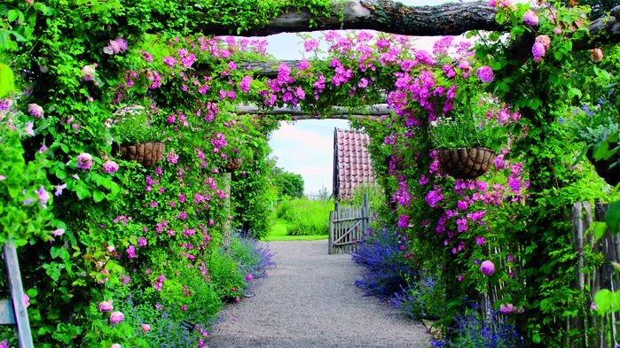 De mjukt böljande kullarna, sädesfälten, de charmiga små byarna och det speciella ljuset gör Österlen så unikt att det jämförs med Provence.