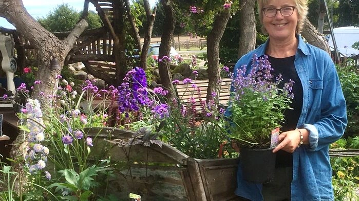 Anette Cato är ciceron på trädgårdsresan. Hon driver Den Engelska Trädgården på Österlen och gör sedan många år trädgårdsresor till England.