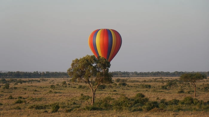 Ballongsafari i gryningen