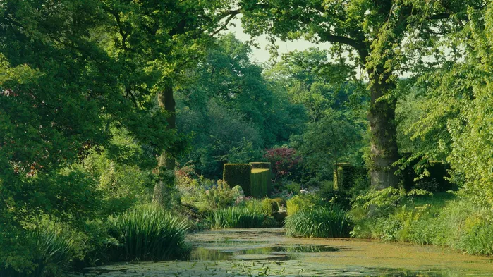 Vattenträdgården på Vann Garden anlades av den berömda engelska trädgårdsarkitekten Gertrude Jekyll.