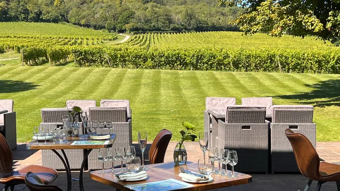 Denbies Wine Estate i landskapet Surrey är en av landets större vingårdar. Vi äter lunch och provar deras viner.