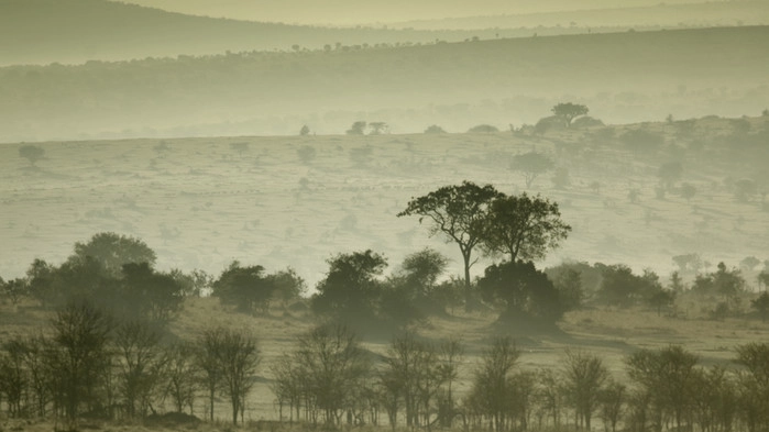 Soluppgång över Serengeti.