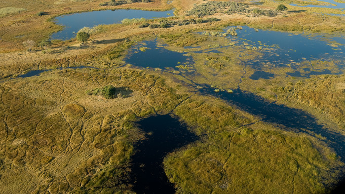Okavangodeltat från ovan