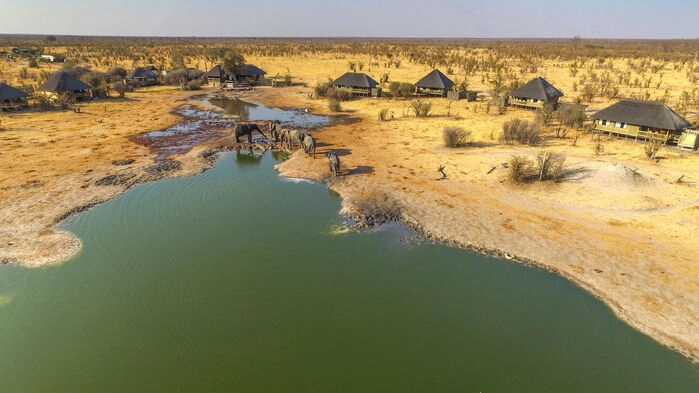 Bild: Imvelo Safari Lodges