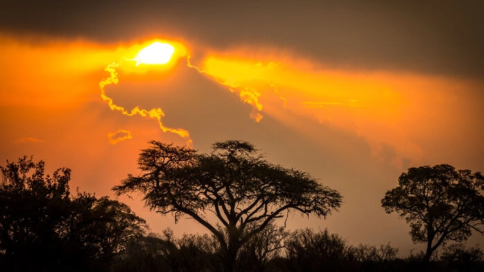 Hwange nationalpark.