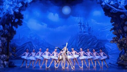 På stadens operahus Teatro Regio ser vi baletternas balett Svansjön till Tjajkovskis älskade musik.