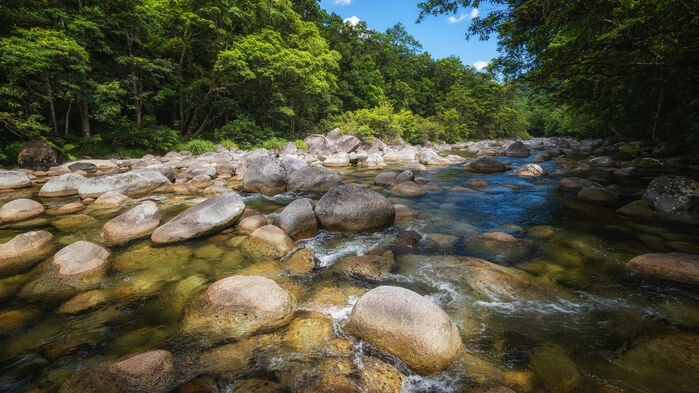 Mossman river Dainee rainforest