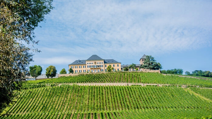 År 1720 beslöt man att Schloss Johannisberg som första vingård i världen enbart skall odla Riesling druvor.