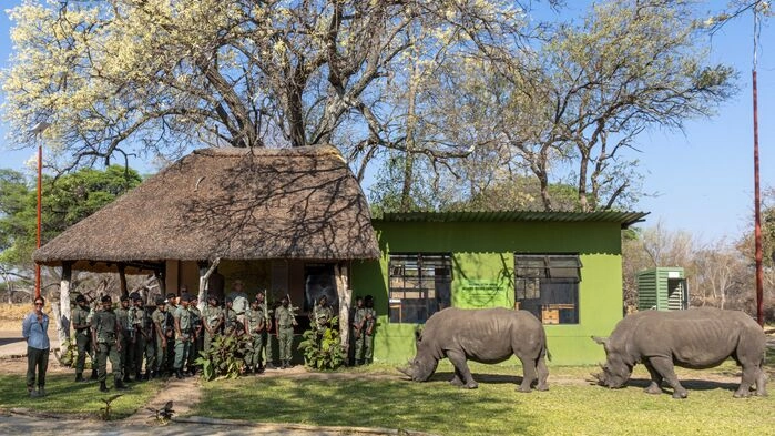 Bild: Imvelo Safari Lodges